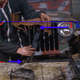 Illustration for article titled Heres How Your Foot Is Able To Bring A 4,000 Pound Car To A Halt